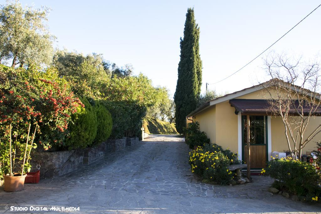 Agriturismo Campofiorito Villa Monsummano Terme Exteriör bild